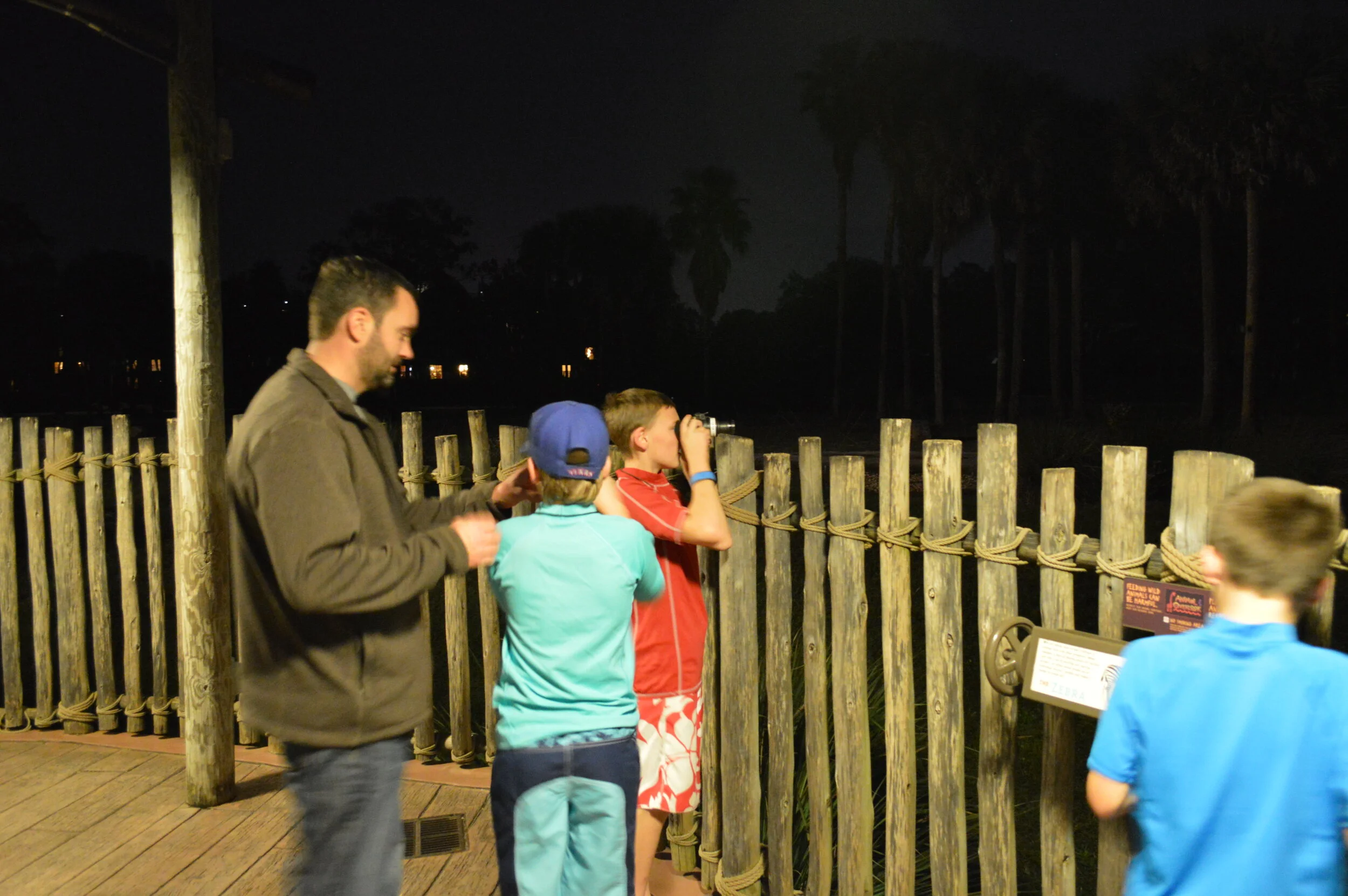 Nightime animal viewing at Animal Kingdom Lodge.