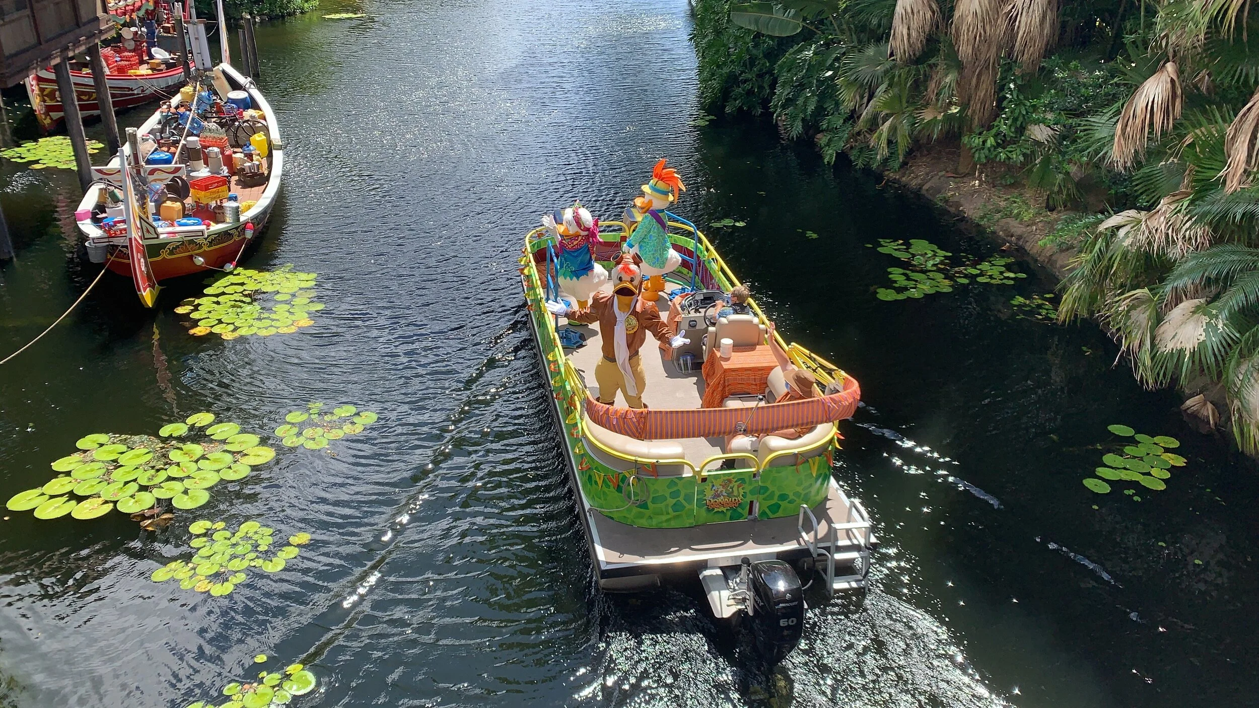 Ducks on the water!