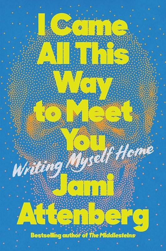 Cover_I Came All This Way to Meet You.jpg