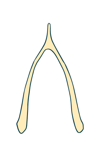 Artboard 2 copy 9.png