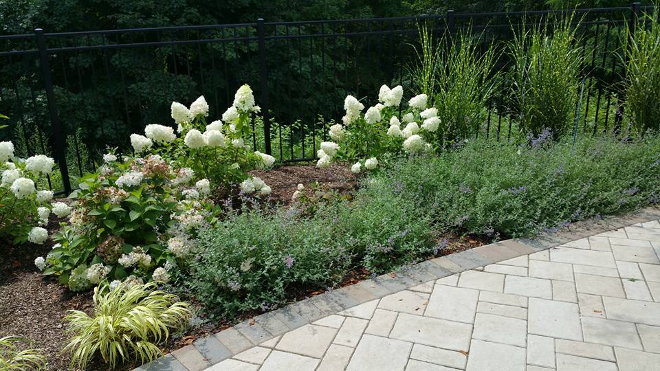 Landscape construction in Cortlandt Manor NY (Copy)