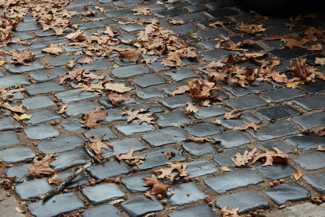 Is your Driveway Ready for Winter in Yorktown Heights?