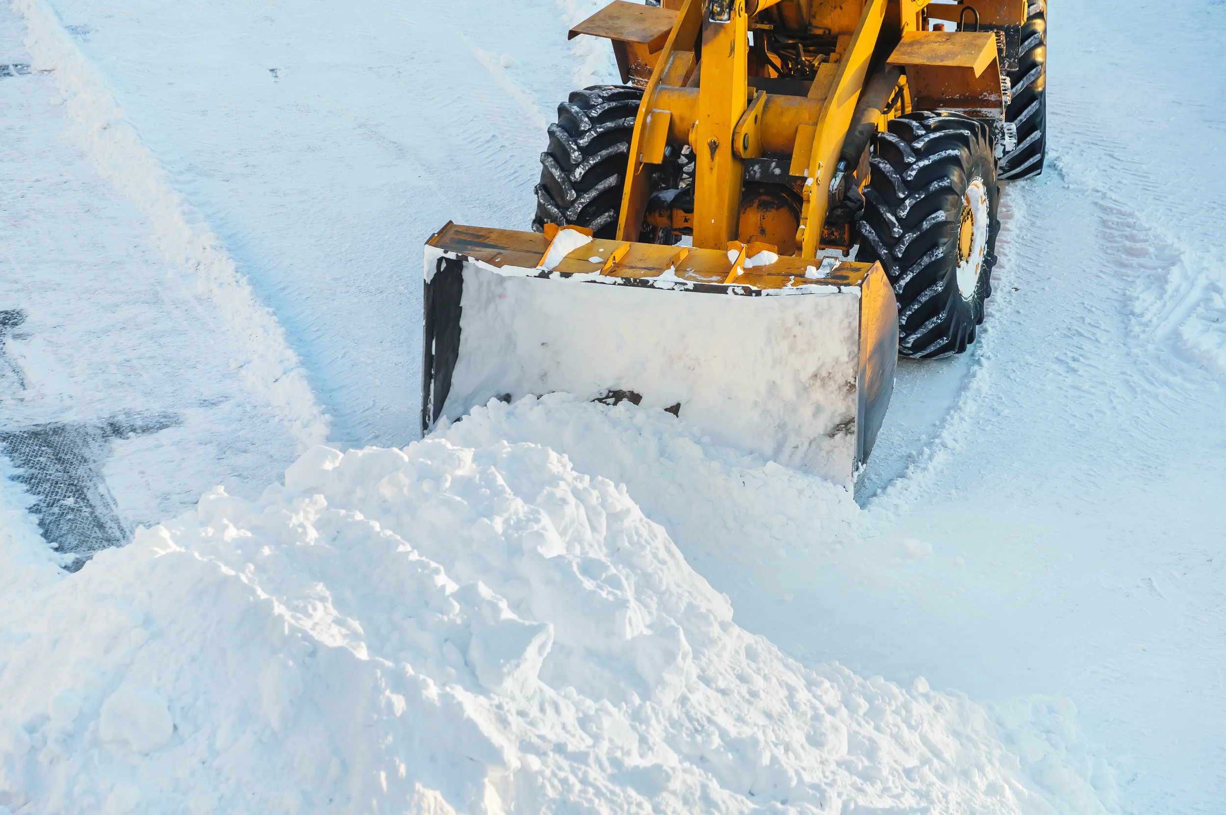 4 Essential Snow Management Services You Need This Winter in Briarcliff Manor, NY