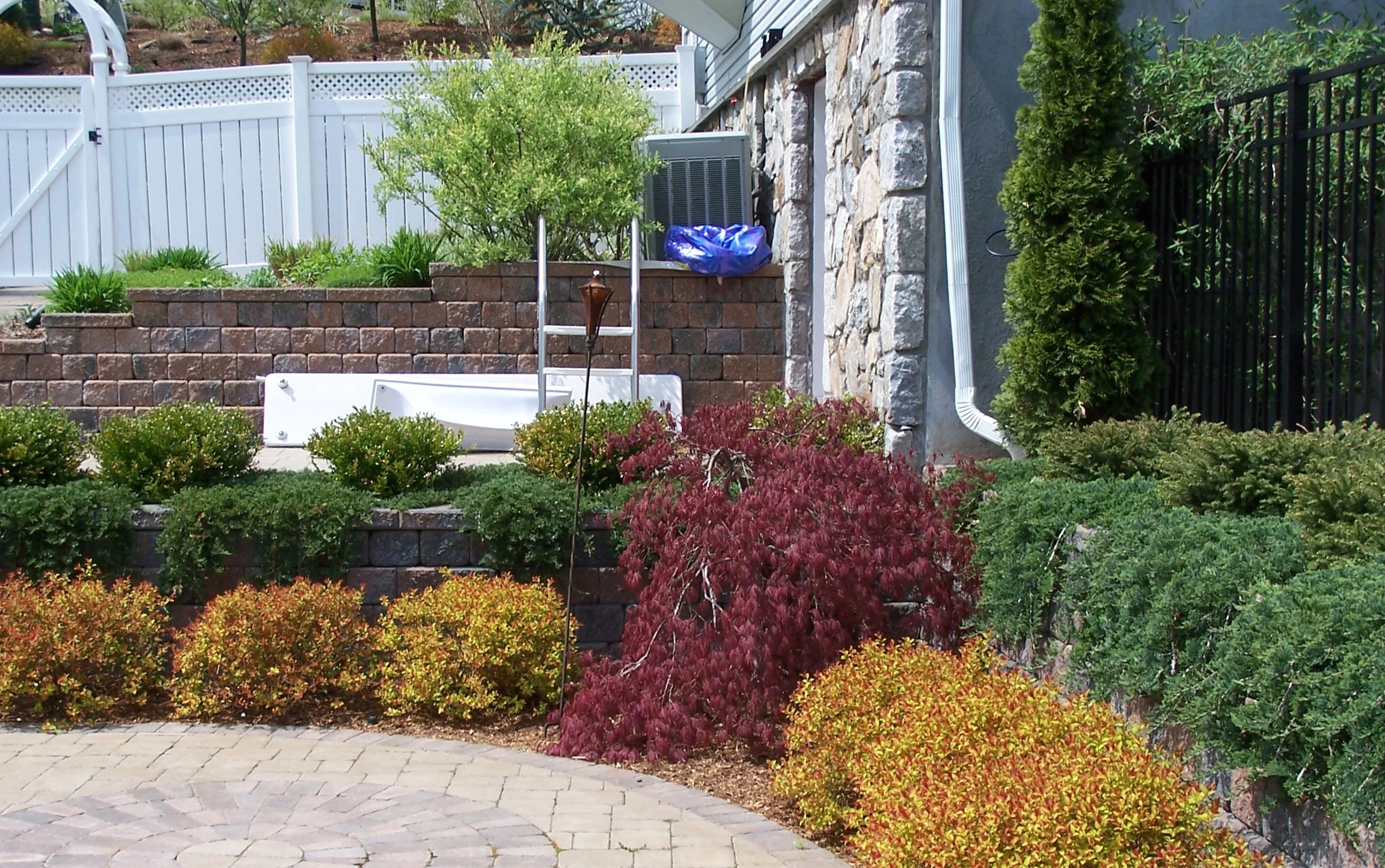 Landscape Company's Tips for Maintaining Trees and Shrubs During the