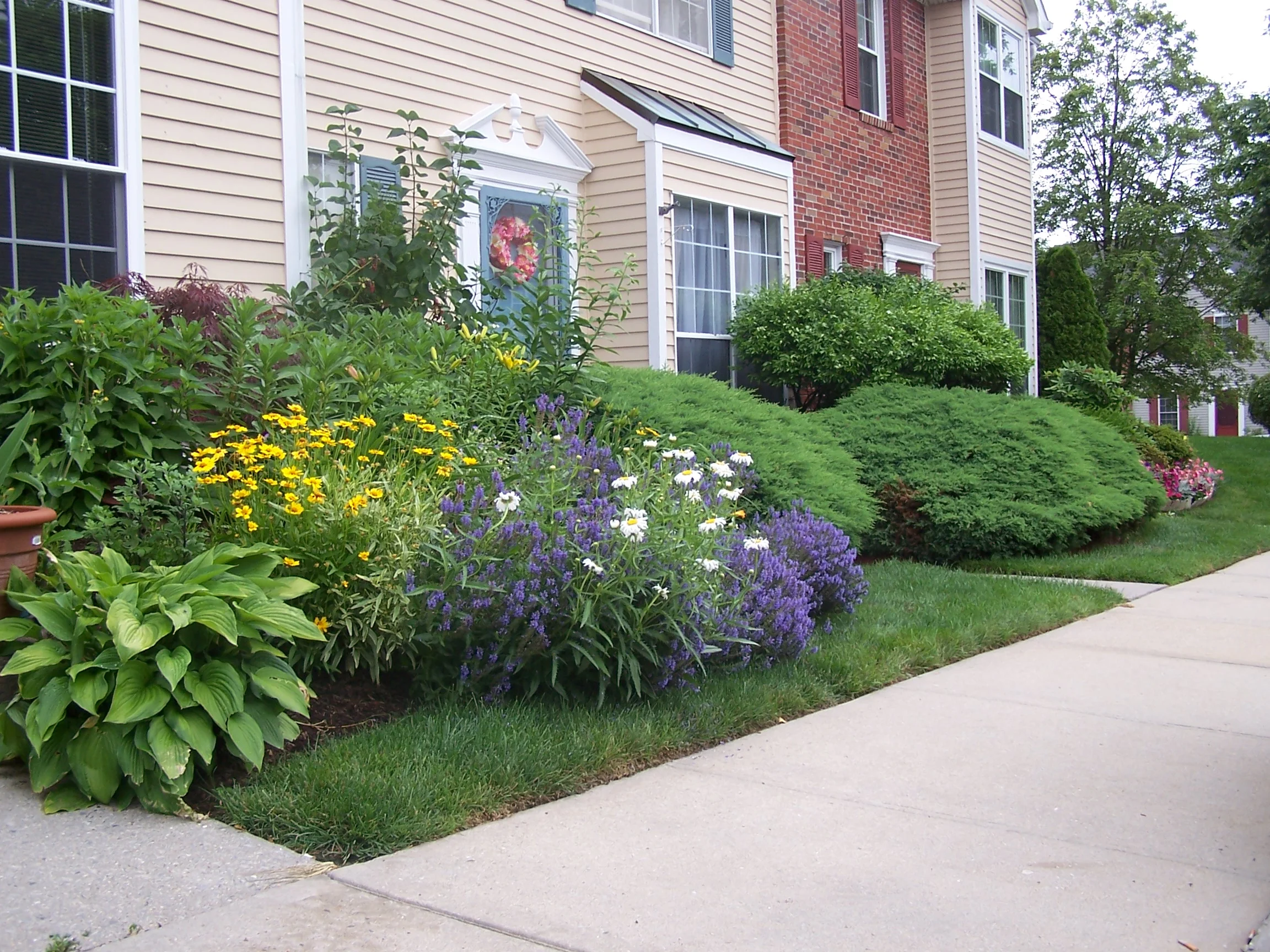 Brightening Your Landscape Design with Fall Perennials in Cortlandt Manor, NY