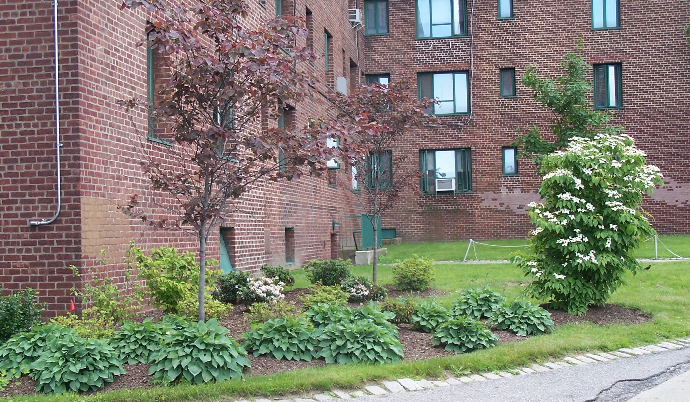 3 Ways Professional Irrigation Systems Can Add Value to Your Croton, NY, Commercial Property