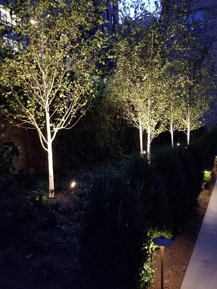 Bring Out the Beauty of Your Landscaping: 5 Landscape Lighting Ideas for Plantings in Croton and Somers, NY