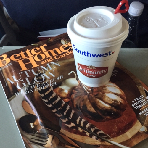 Flying provides ample opportunity to catch up on my magazines. Fall inspiration? Don't mind if I do!