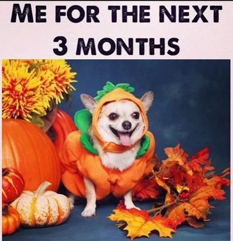 FALL for the next 3 months.jpg