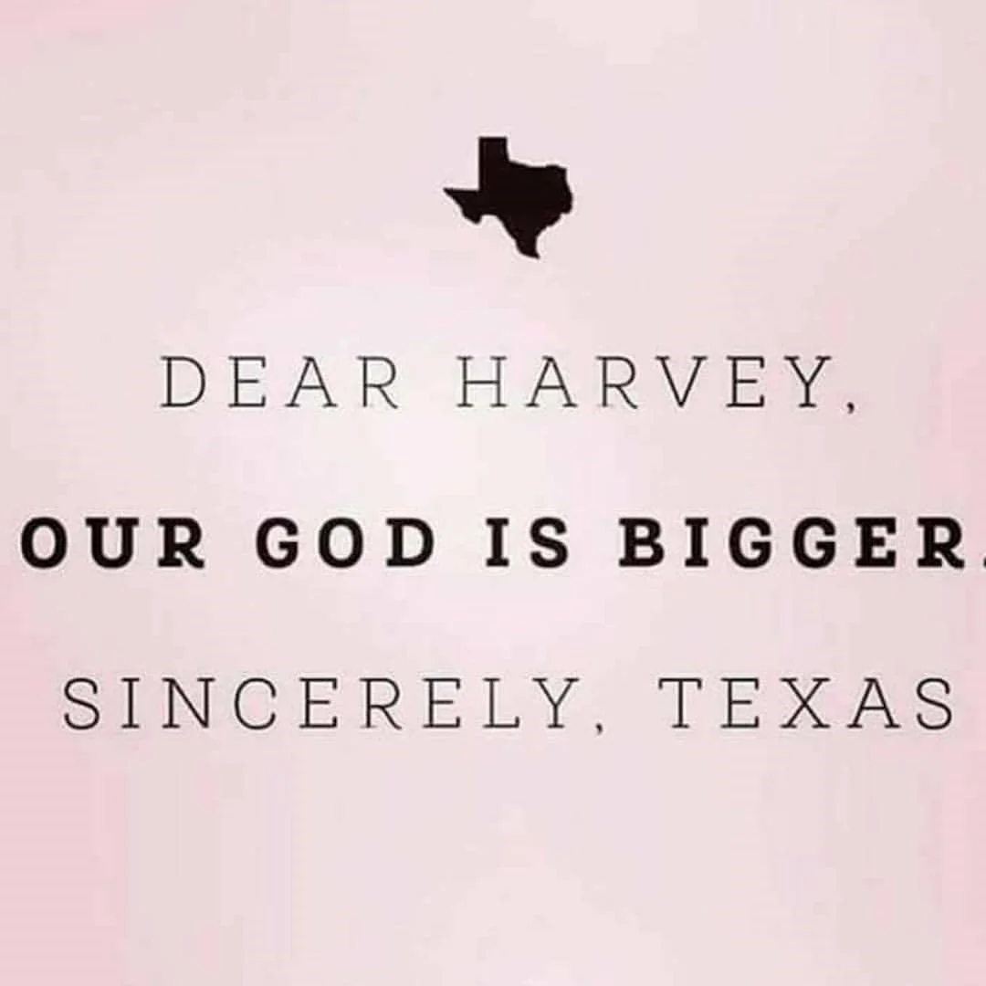 Dear Harvey.jpg