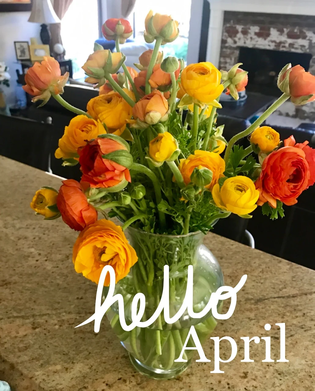 Hello April.jpg