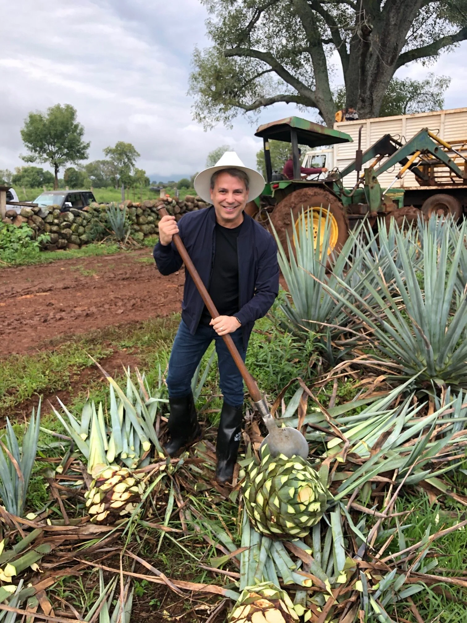 agave fields.jpg
