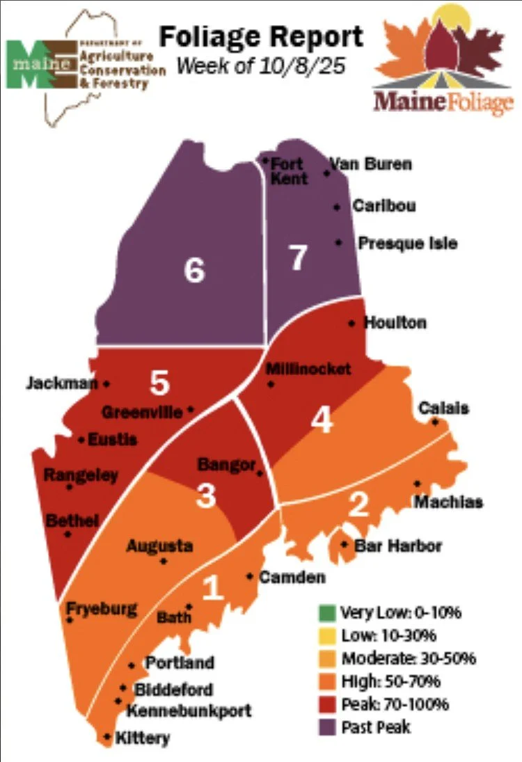 Maine Foliage Map .jpg