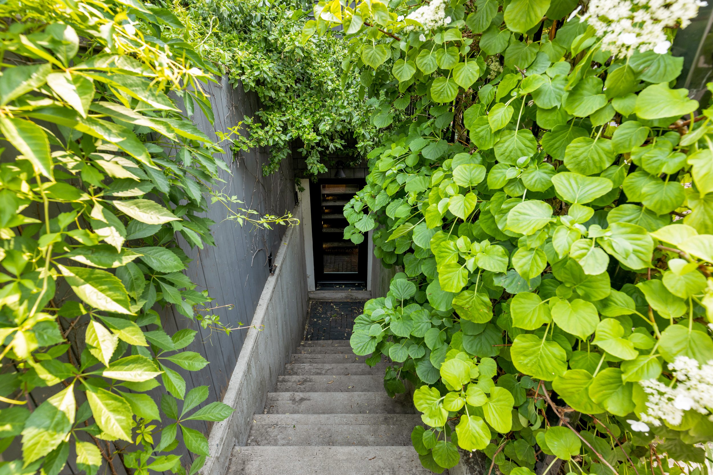 Modern Ossington Farmhouse