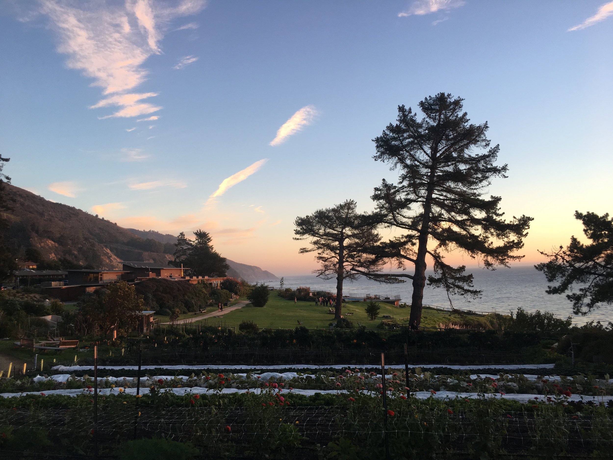 My favorite view of Esalen <3