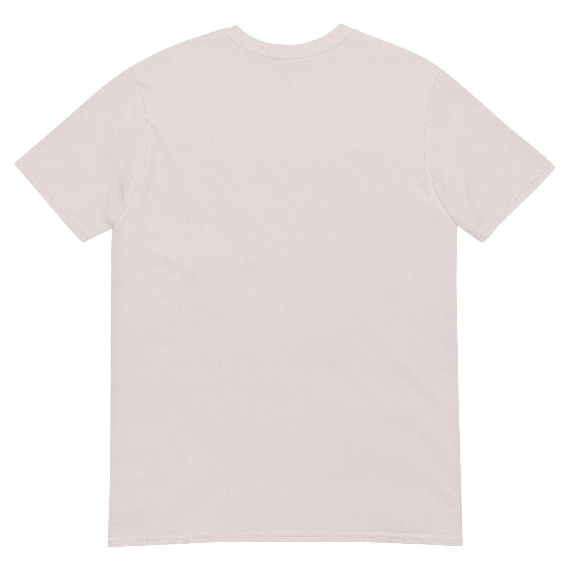 unisex-basic-softstyle-t-shirt-ice-grey-back-6aaace8452227.jpg