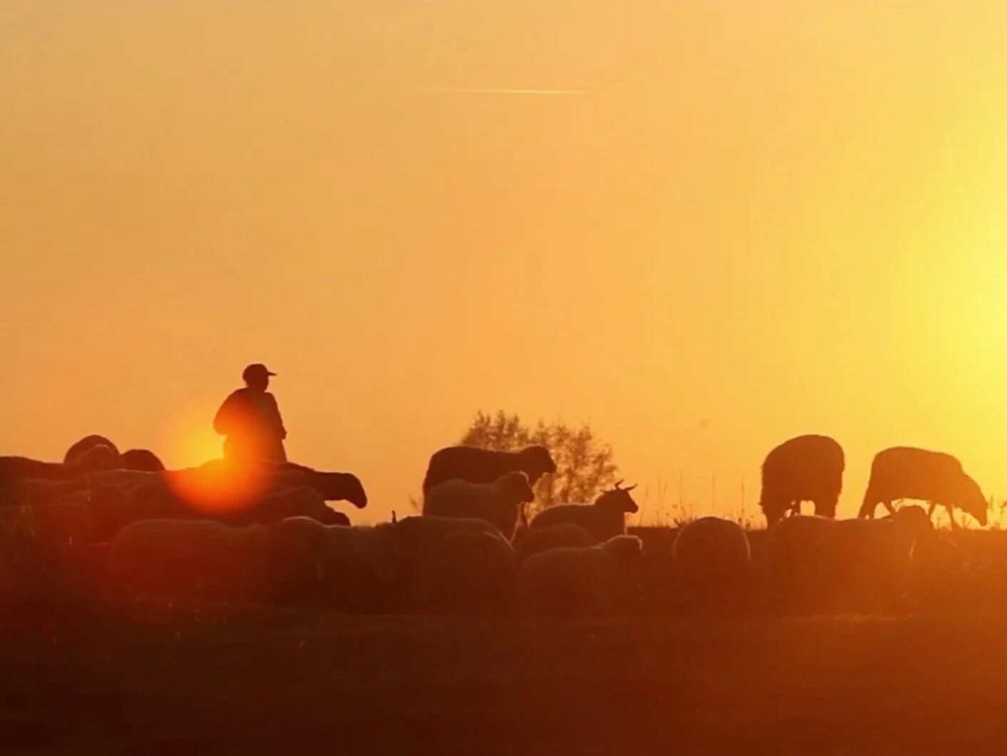 One80 Solar Presents: The Commercial Tanner