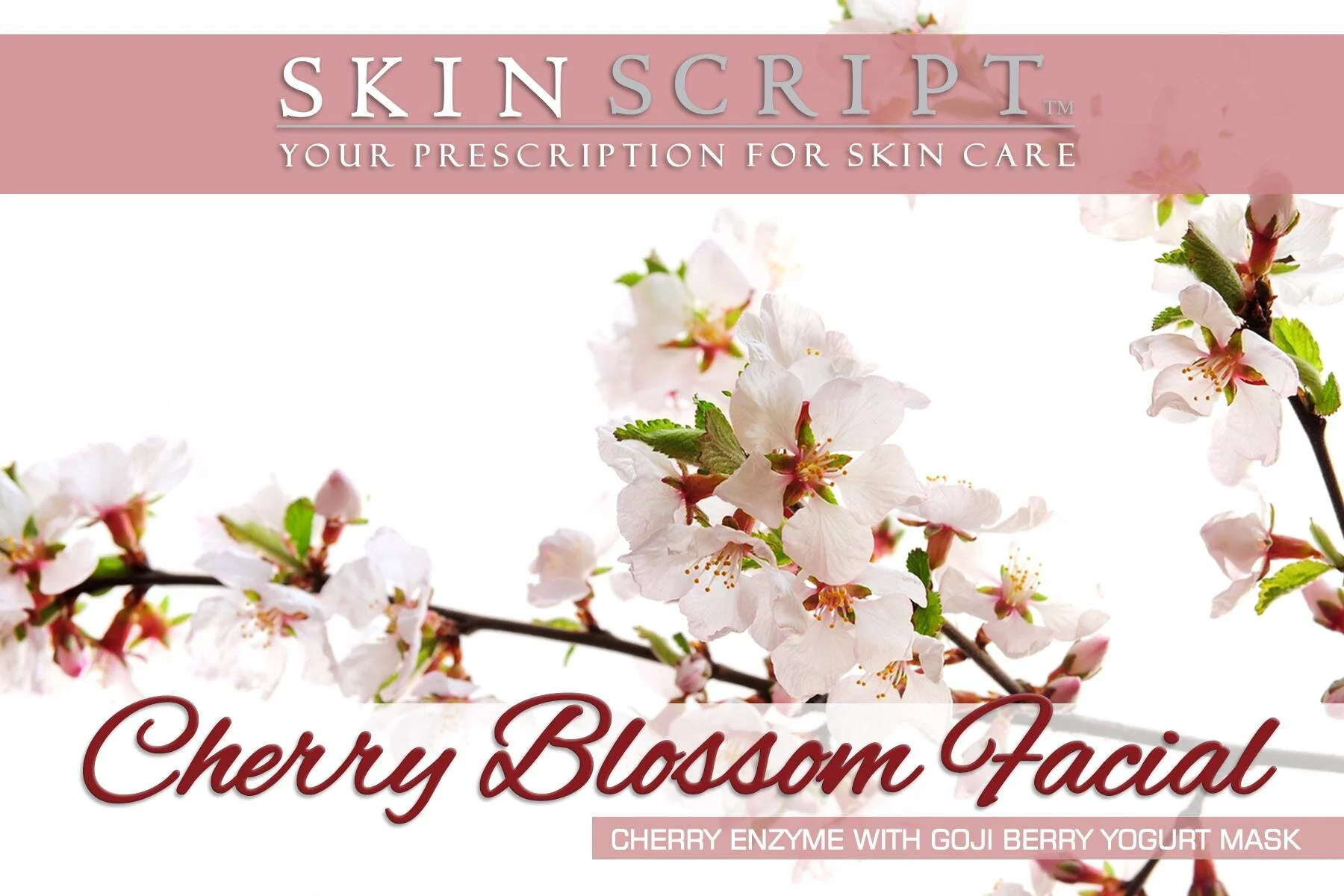 July's Facial Special