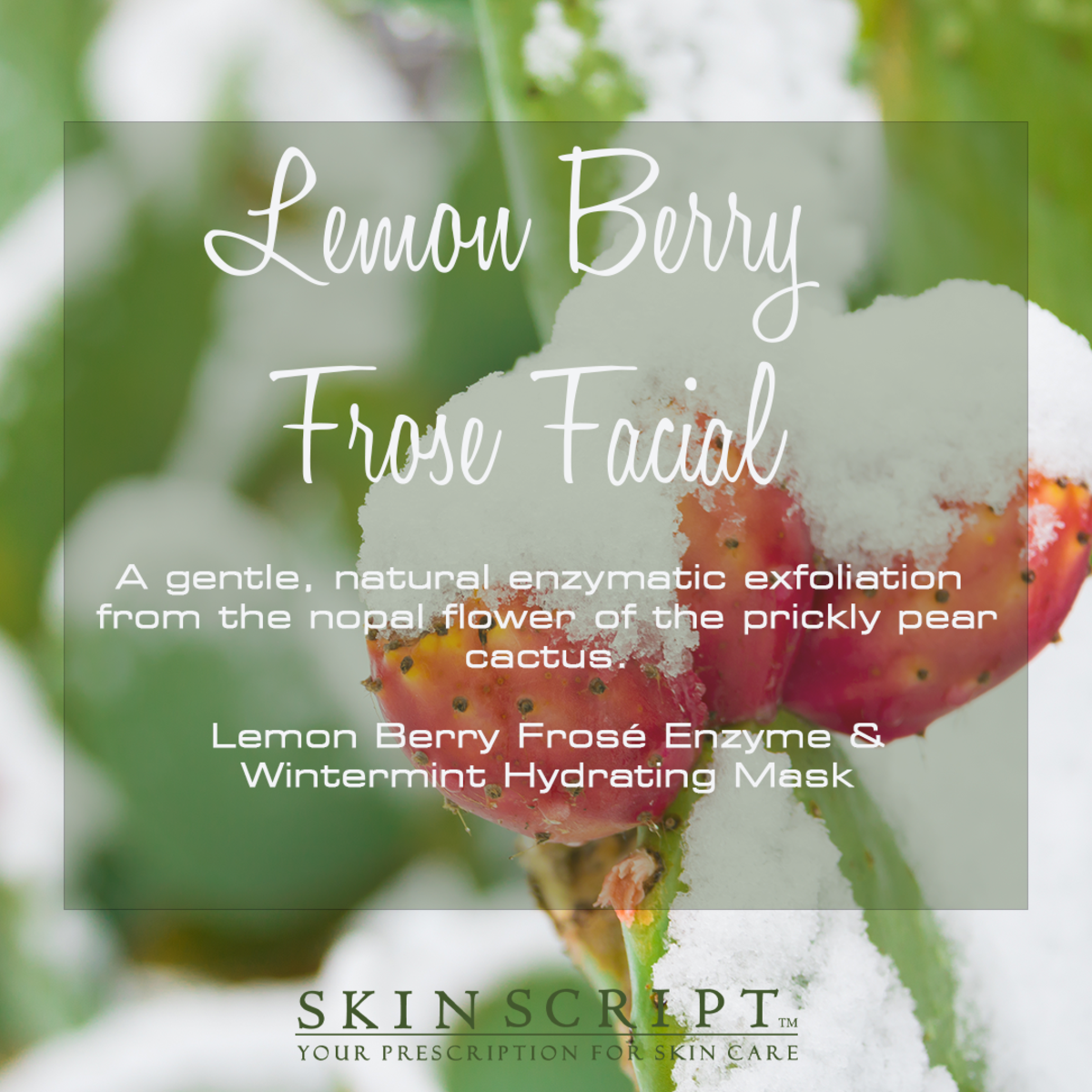 April's Monthly Special