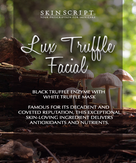 December's Monthly Special 