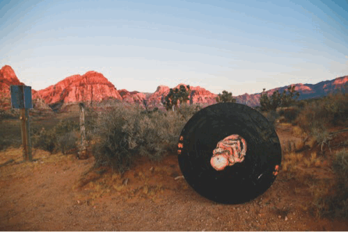 Image 8.gif