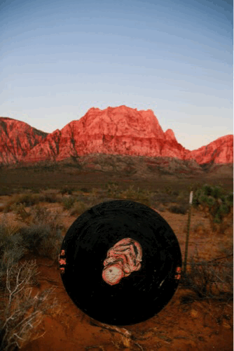 Image 9.gif