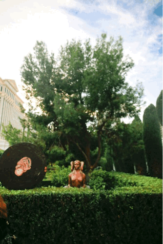 Image 2.gif