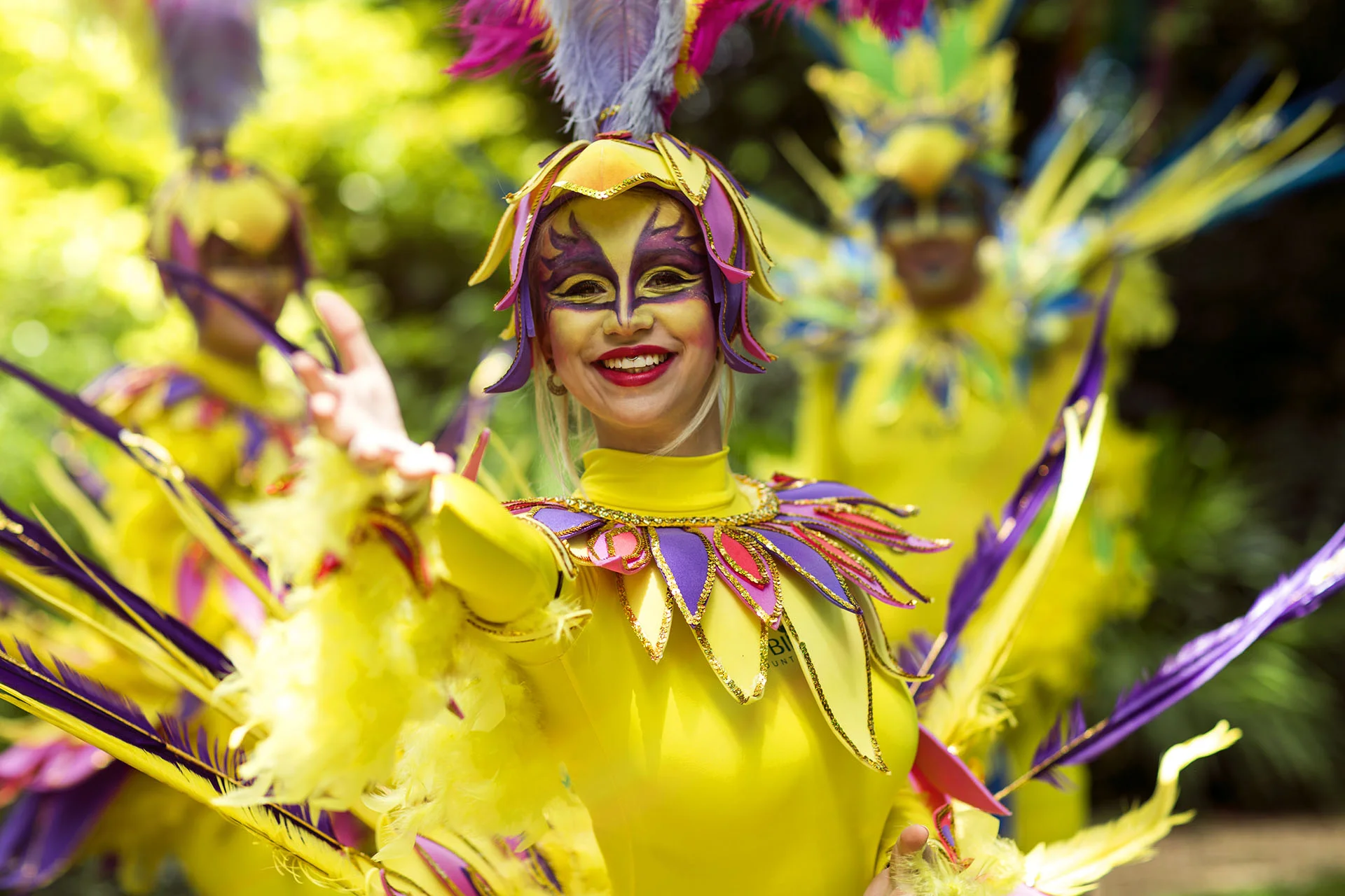Robin Hill Carnival.jpg
