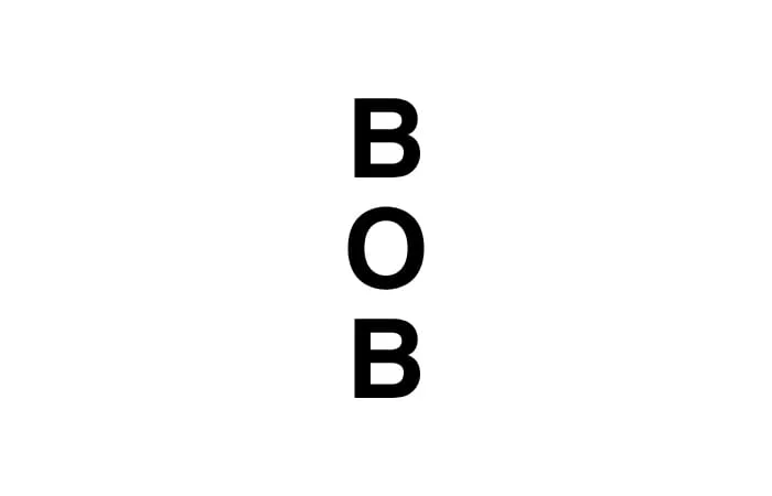 Bob Up And Down.jpg