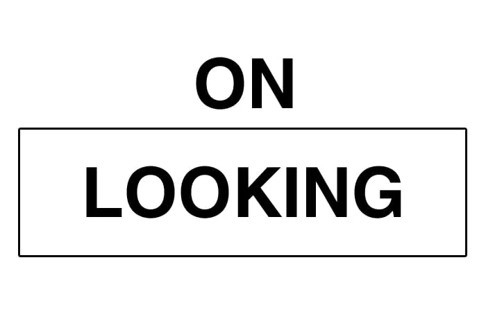 On The Outside Looking In.jpg