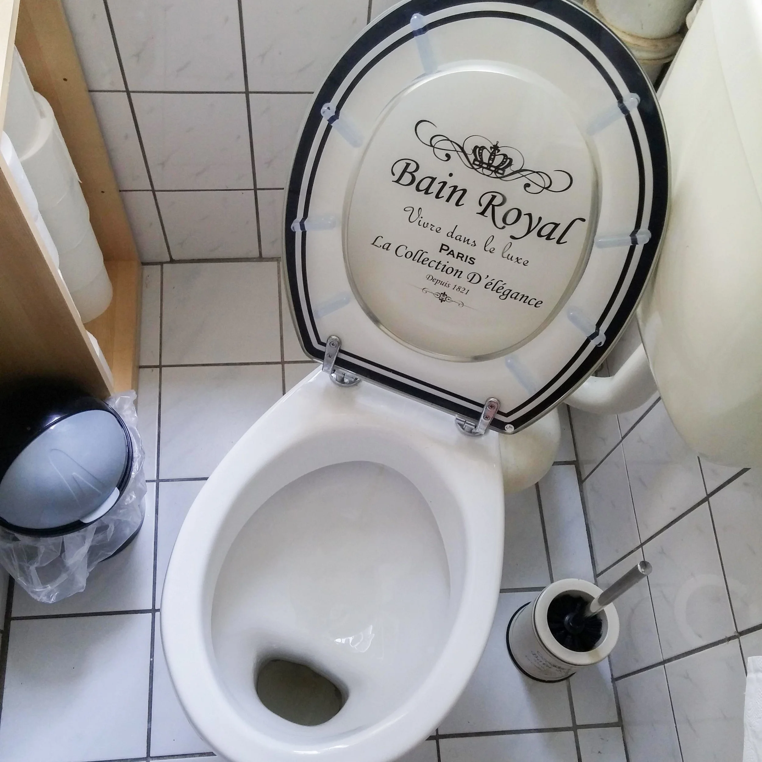 German toilets and Bremsstreifen shitstains
