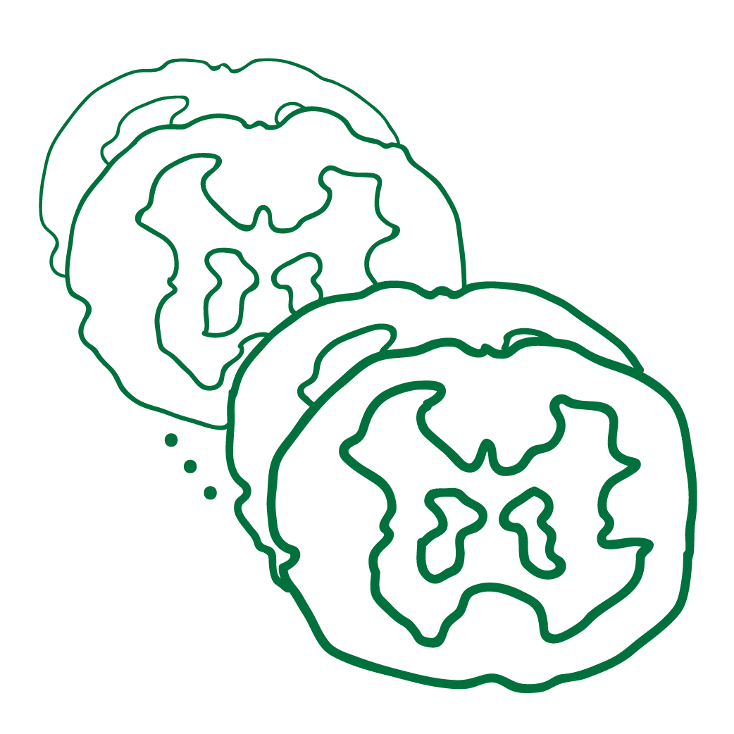 Topographic Factor Analysis: a Bayesian model for inferring brain networks from neural data