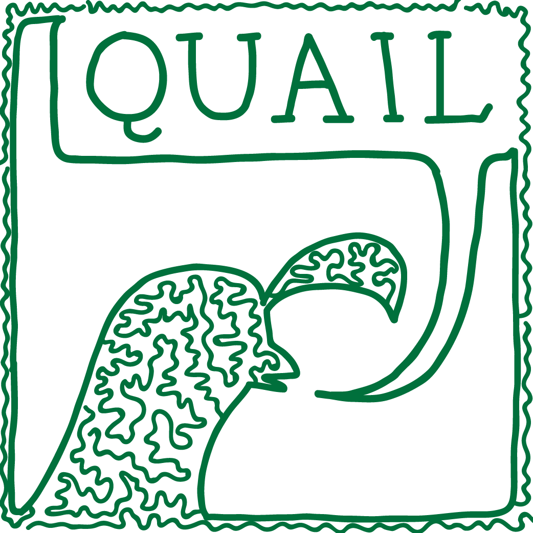 Quail: A Python toolbox for analyzing and plotting free recall data