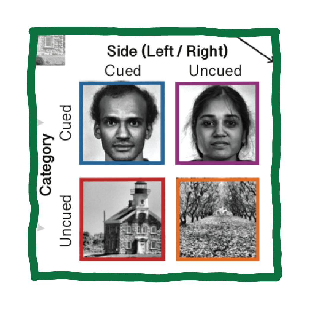 Volitional Attention Modulates Memory Encoding and Retrieval