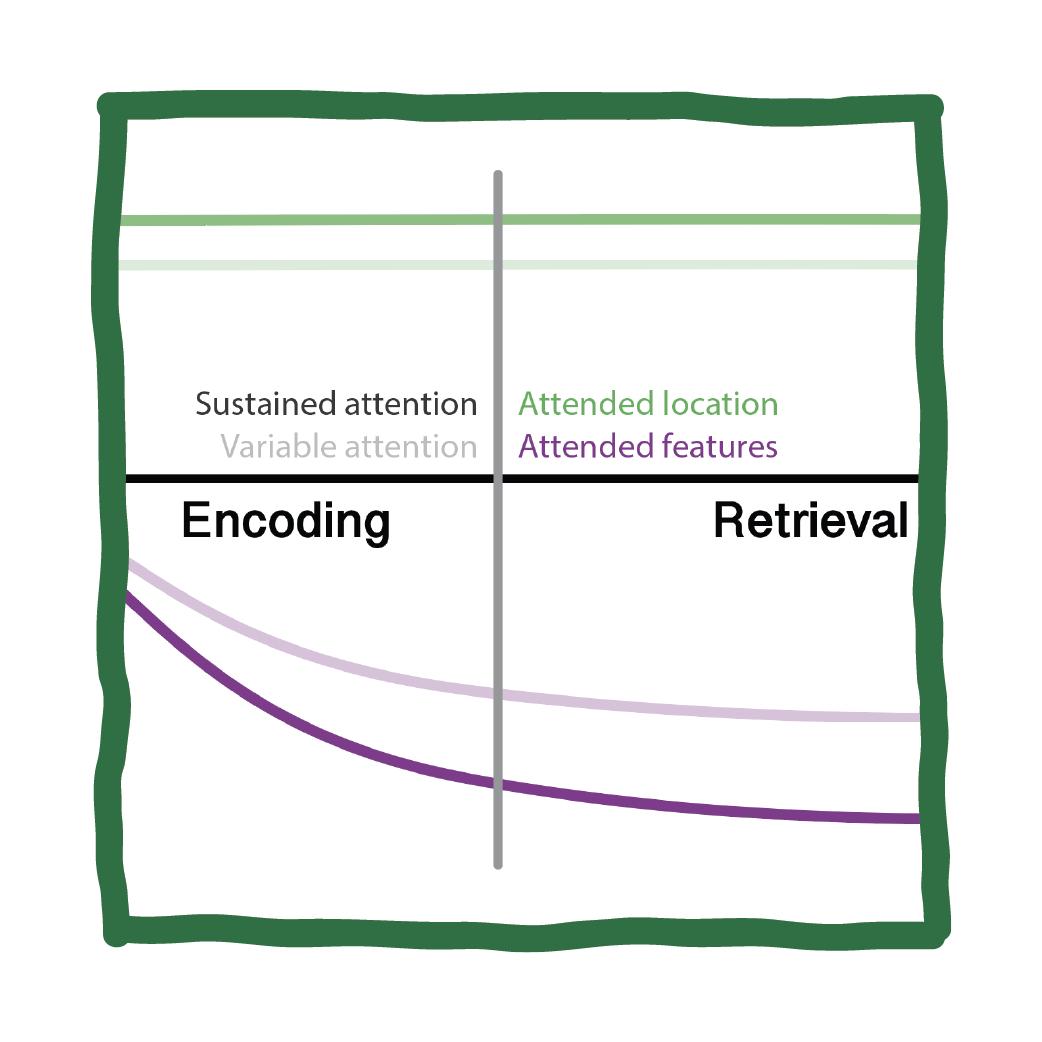 VOLITIONAL ATTENTION MODULATES MEMORY ENCODING AND RETRIEVAL
