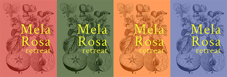 fiona-melrose-mrr-banner-rectangle@0.5x.png