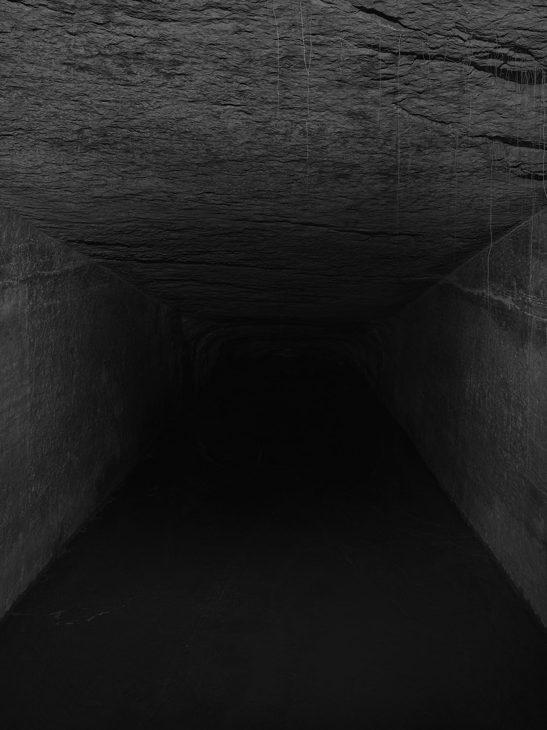 CF083016.jpg