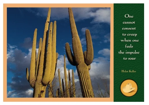 Big Cactus-#12206