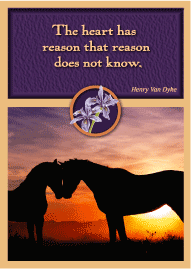 Horse Lovers Gift Enclosure