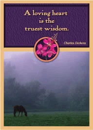 Horse Meadow Gift Enclosure