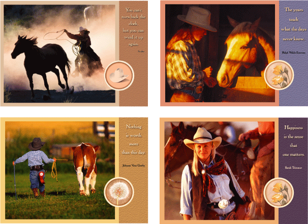 Cowgirl Birthdays Occasion Card Box Set-#12000