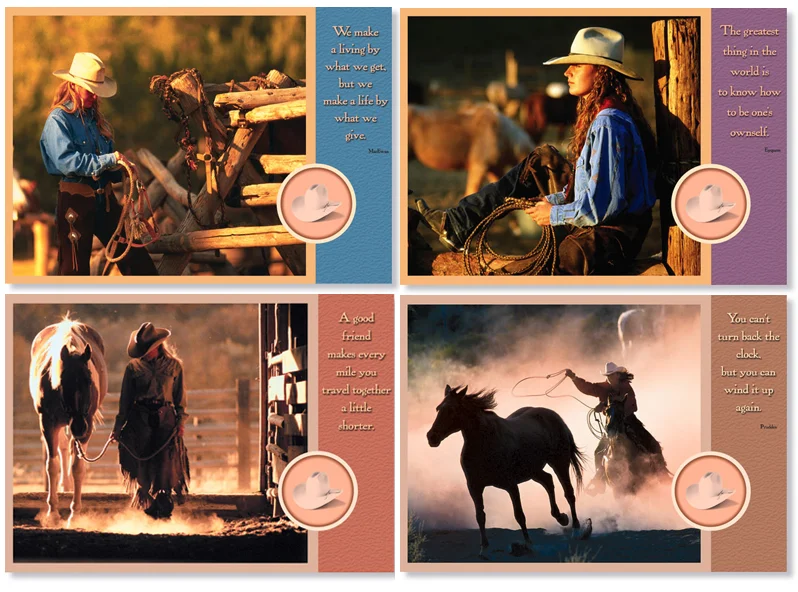 Cowgirl Series 1 Blank Box Set-#10400