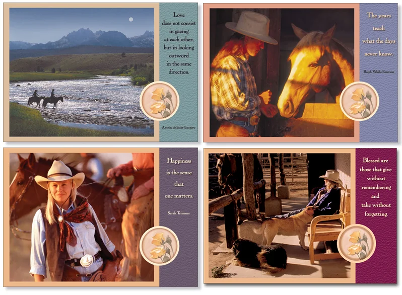 Cowgirl Series 2 Blank Box Set-#10399