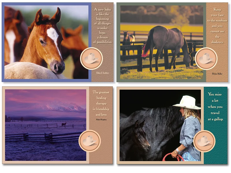 Horse Series 2 Blank Note Card Box Set.jpg