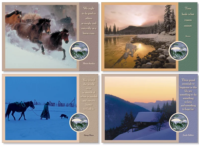 Western Winter Series Blank Box Set-#10600