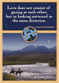 Midnight Mountain Ride Magnet