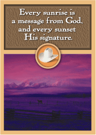 Western Horse in Fog Magnet