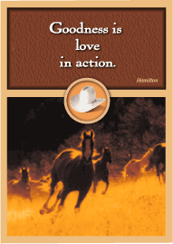Western Running Horses Magnet