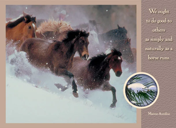 Christmas Horses.jpg