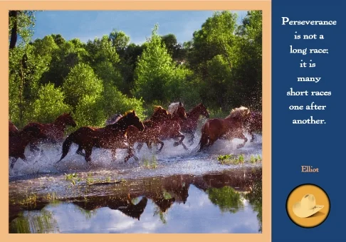 Horses Splashing in a Western River-#12304